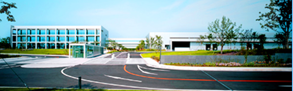 贵州自流平水泥